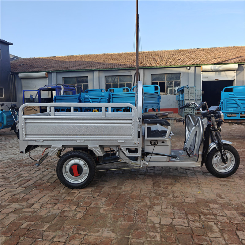 Golf Cart-CHLE1500W-3W1