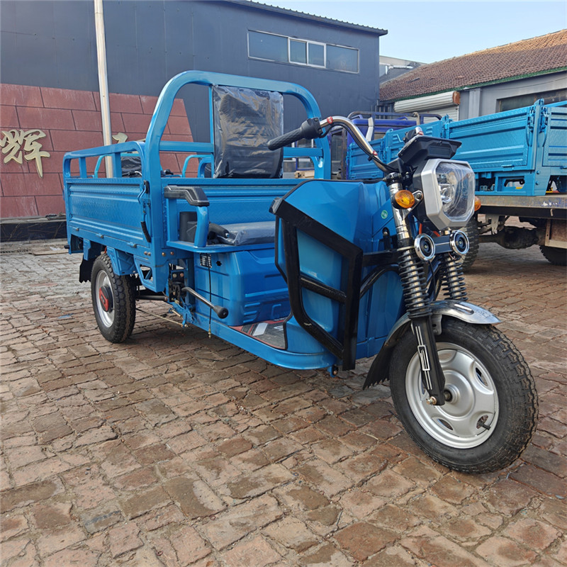 Golf Cart-CHLE1500W-3W2