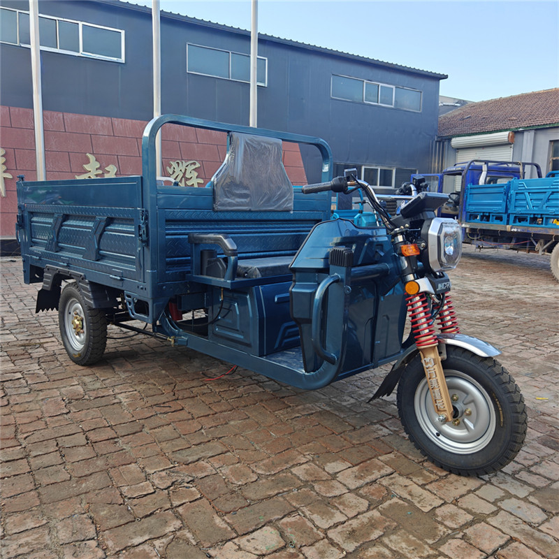 Golf Cart-CHLE1500W-3W3