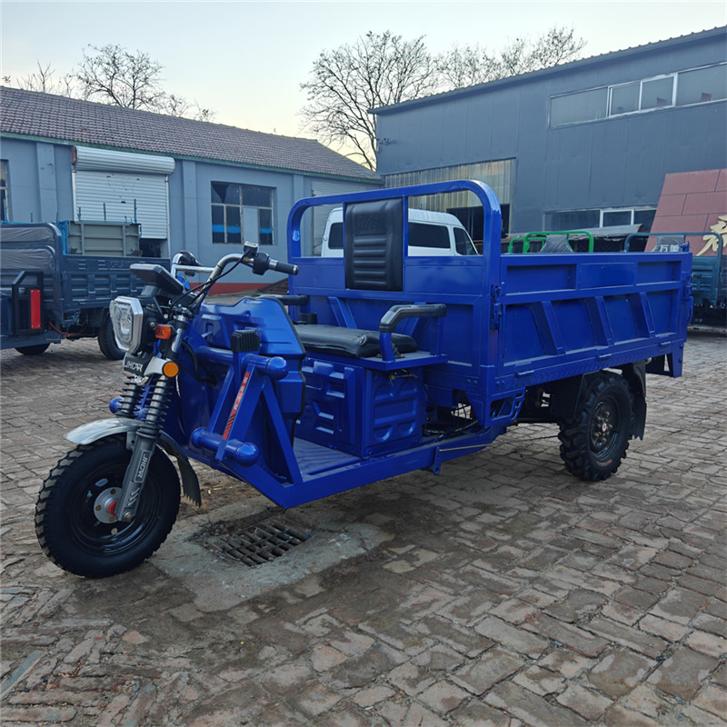 Golf Cart-CHLE2000W-3W5